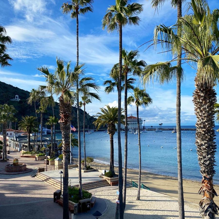 The Edgewater Otel Avalon Dış mekan fotoğraf